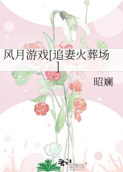 风月游戏[追妻火葬场]